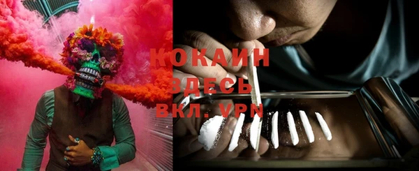 индика Белоозёрский