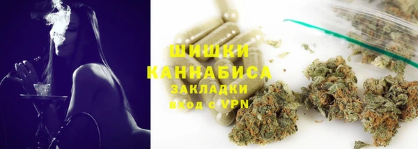 индика Белоозёрский