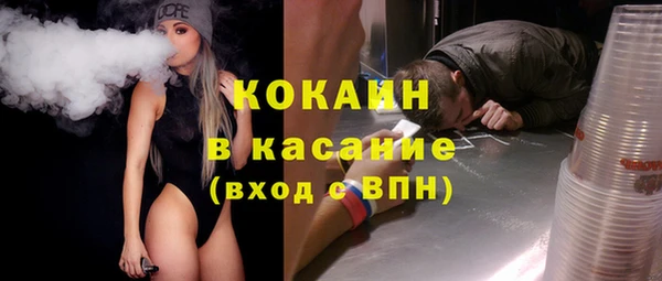 ПСИЛОЦИБИНОВЫЕ ГРИБЫ Строитель