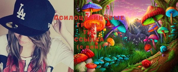спиды Струнино