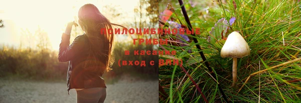 спиды Струнино